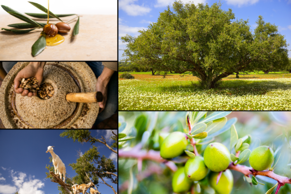 Huile d’Argan Alimentaire Bio – Filières Marjane