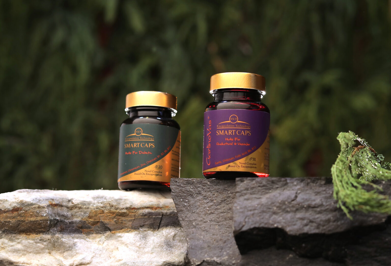 SamiSaz Pharmacology