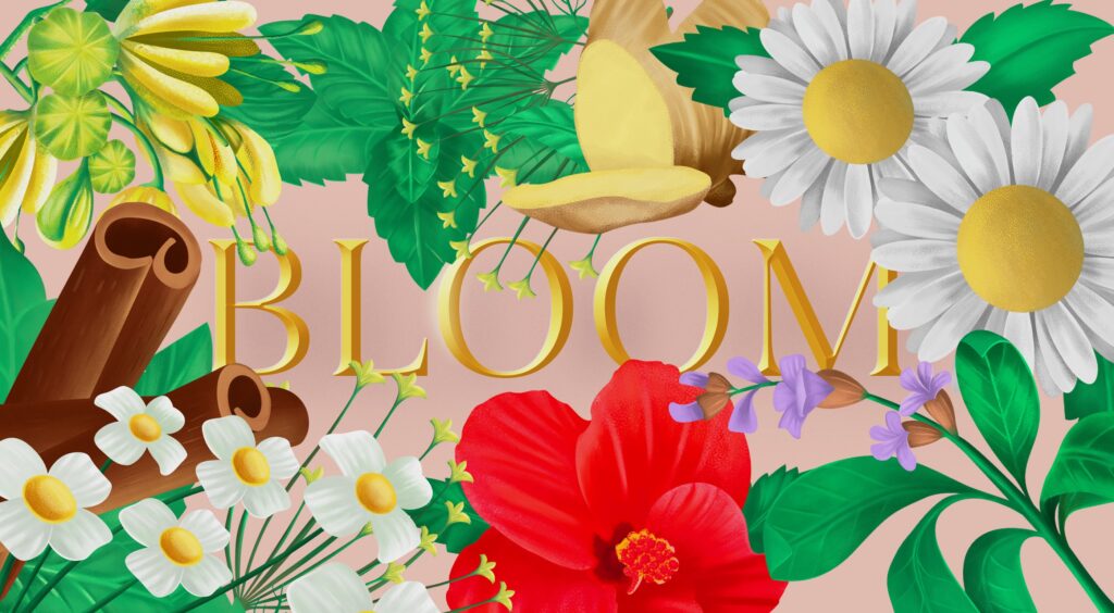 Bloom | Herbal Tea