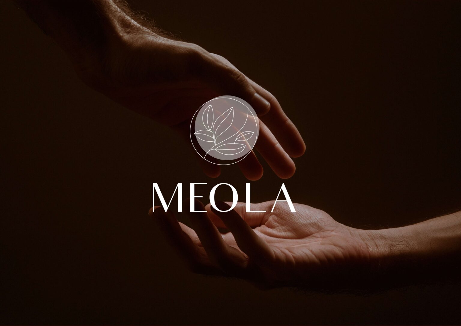 Meola