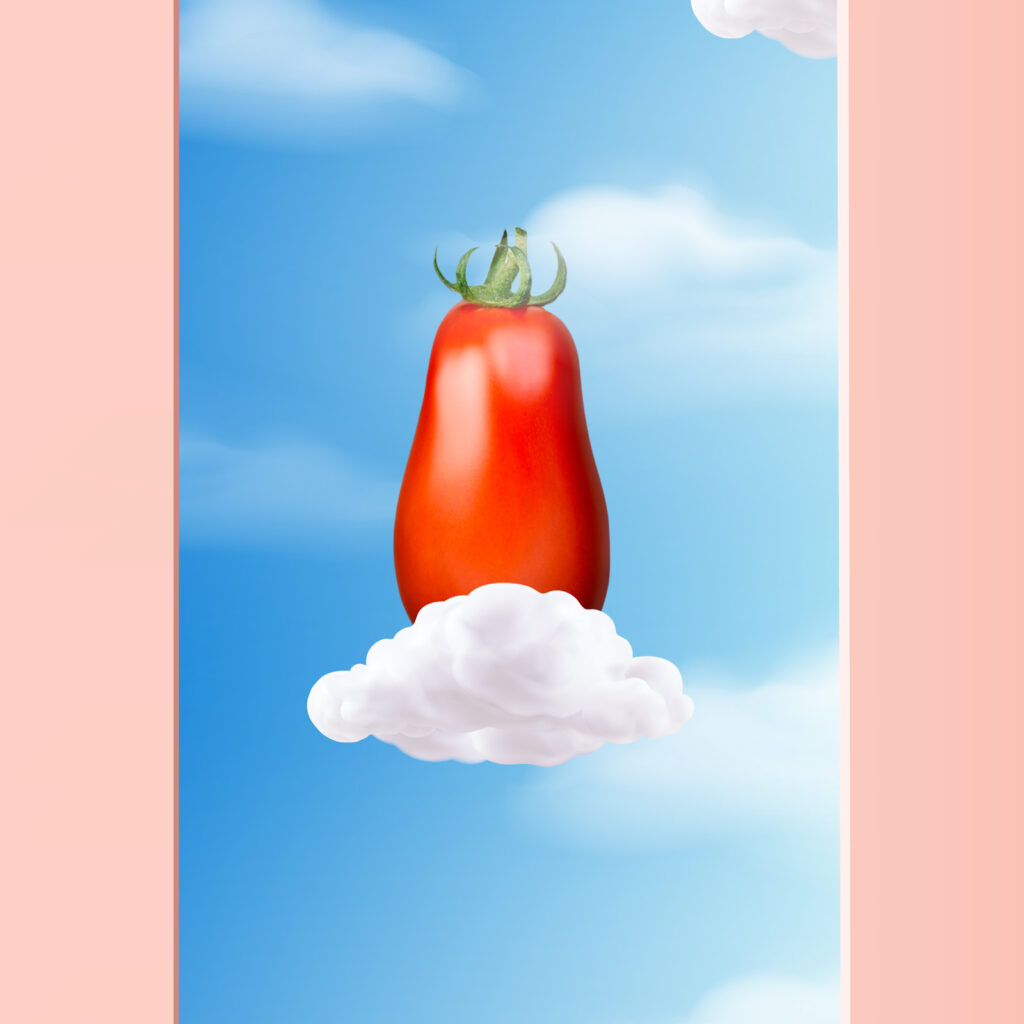 Passata di Puglia • Rosso Gargano