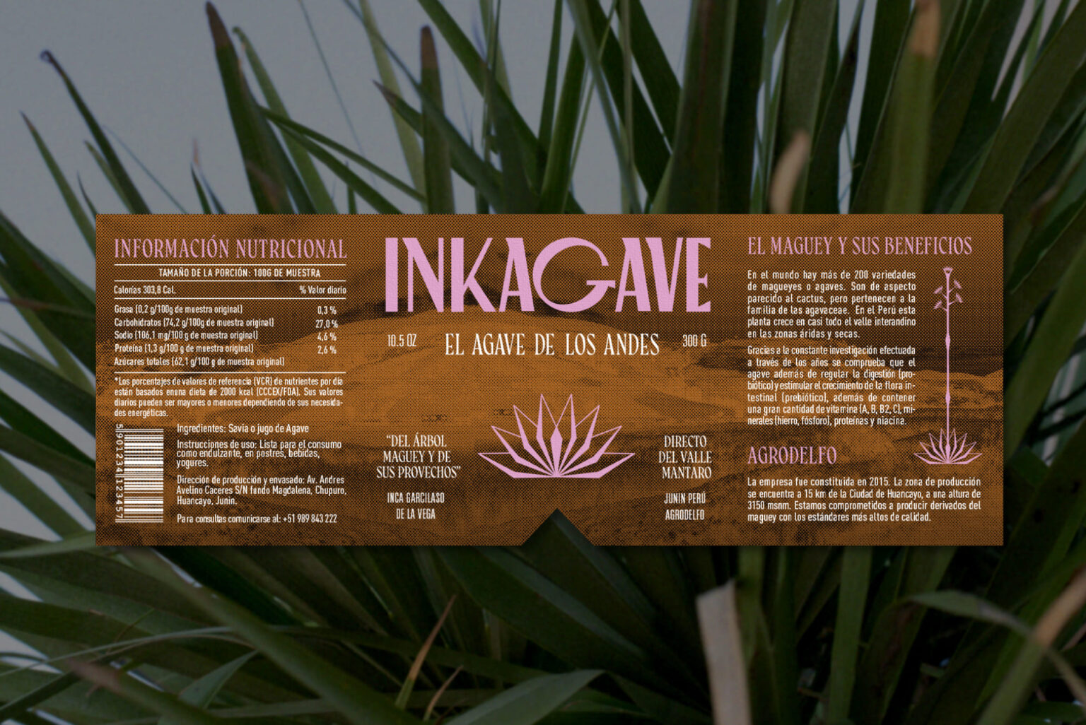 INKAGAVE