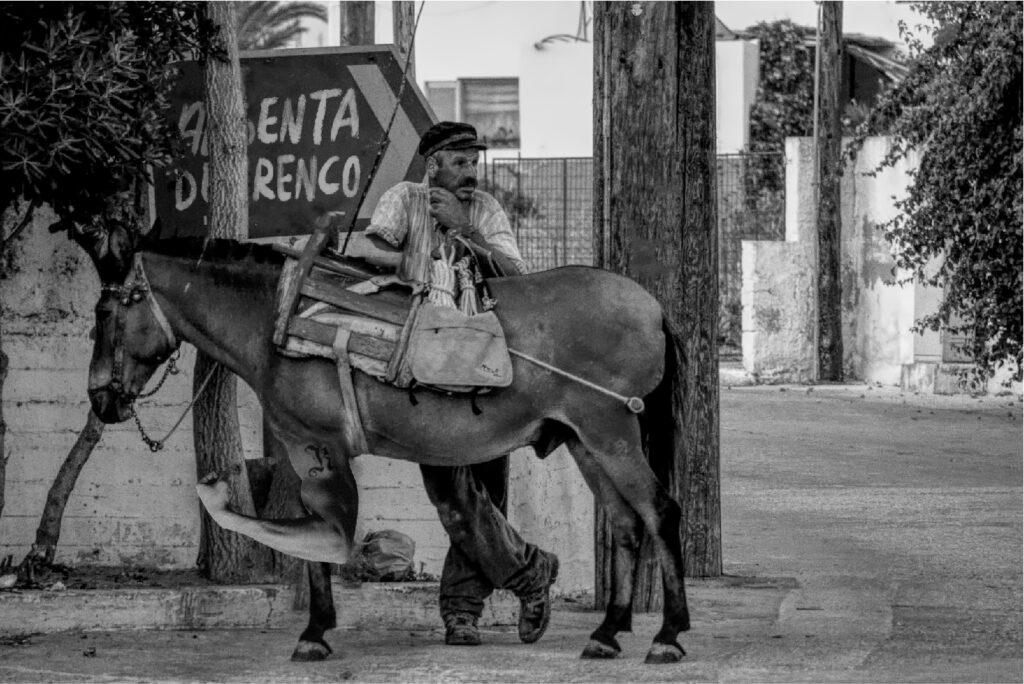 RENCO ABSENTA MEXICANA