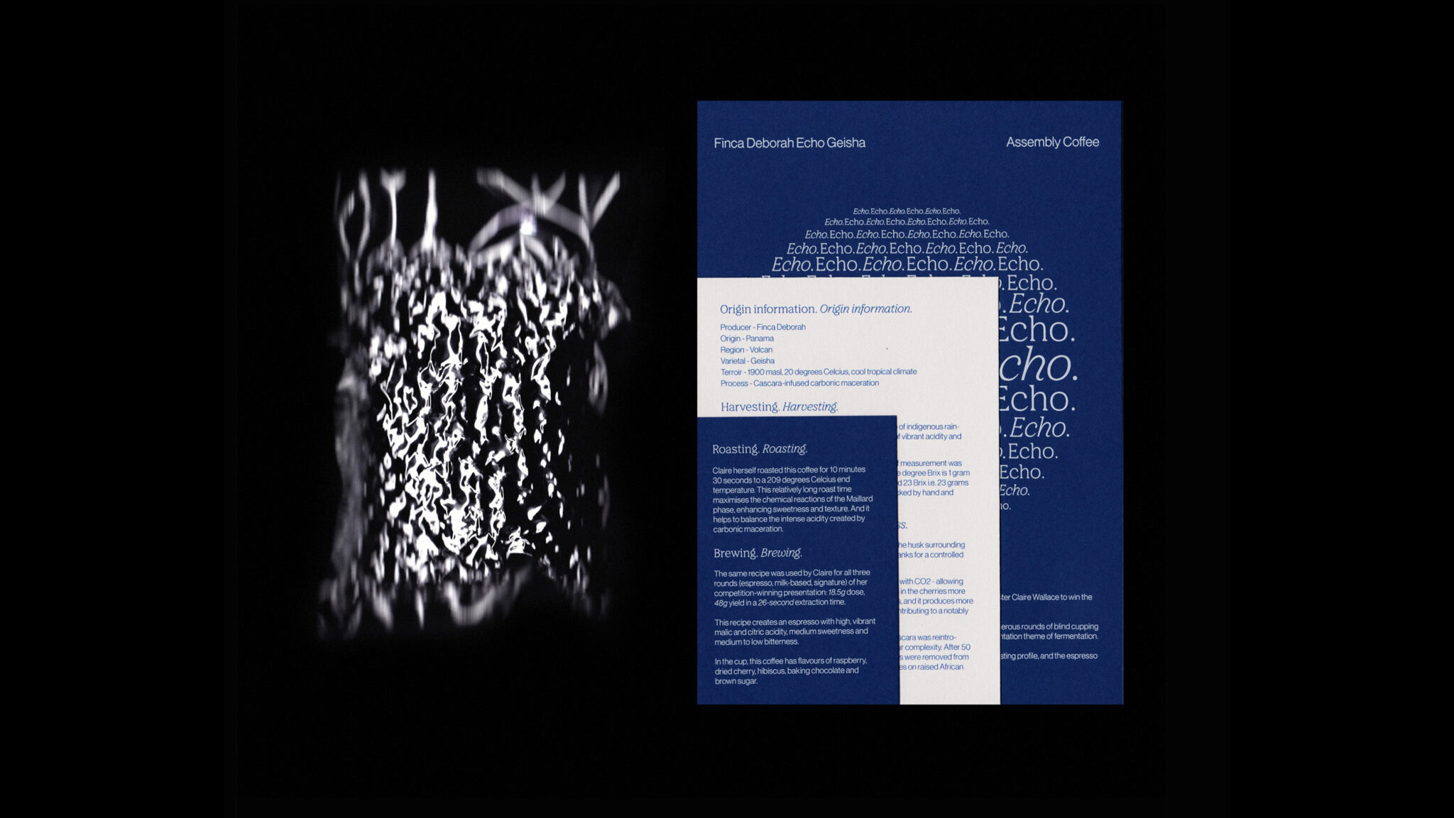 Finca Deborah Echo Geisha