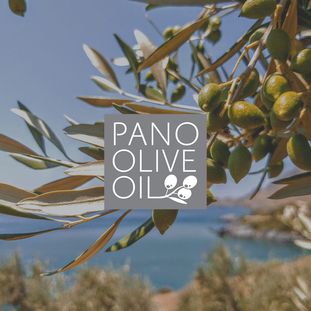 Pano olive oil
