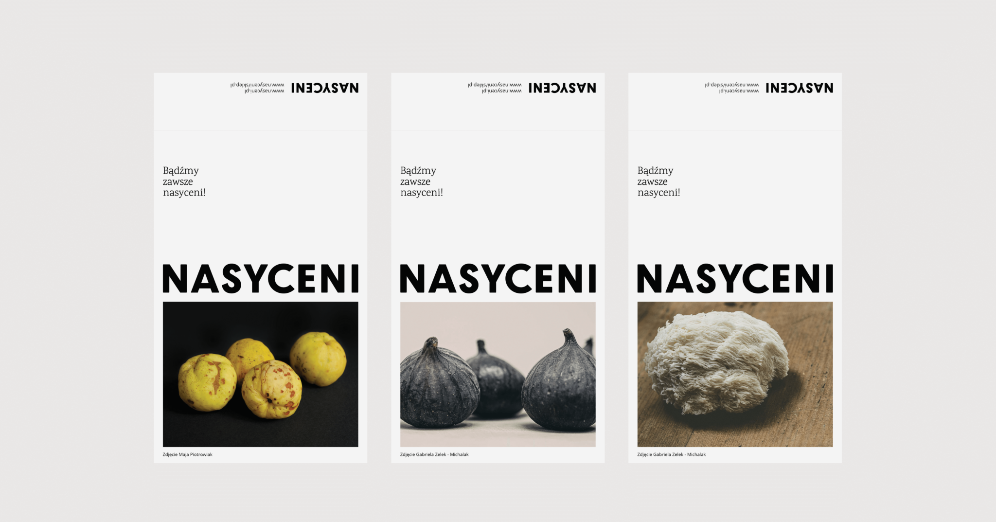 Nasyceni Packaging “From blog to product”.