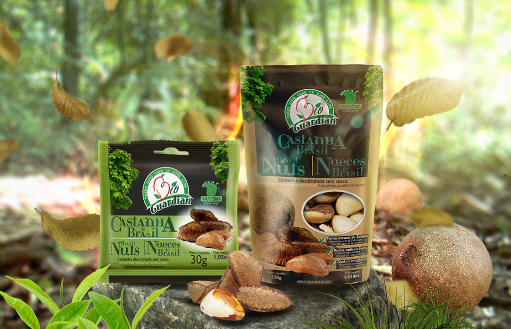 Castanha da Amazônia