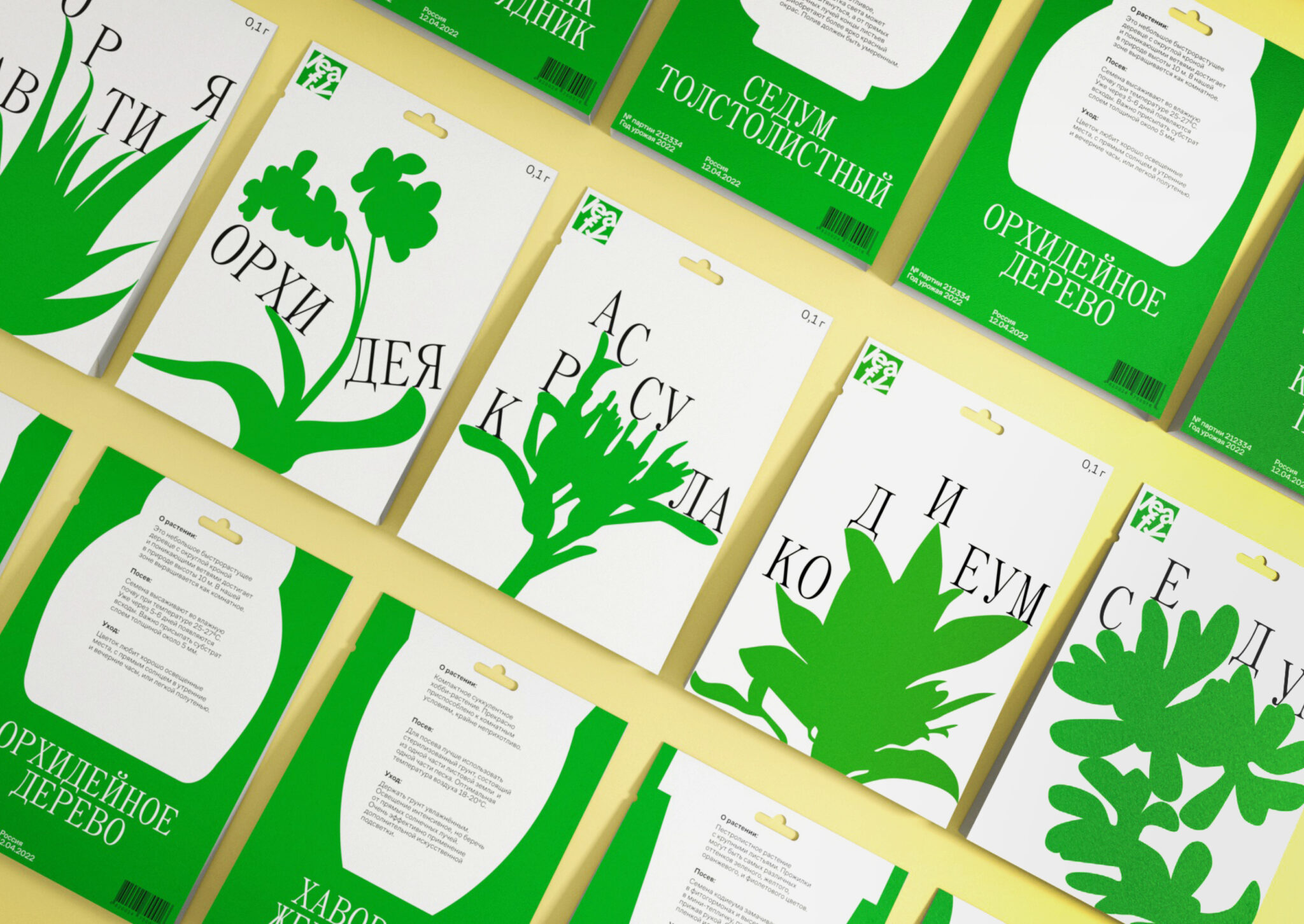 LEAFY plant seeds