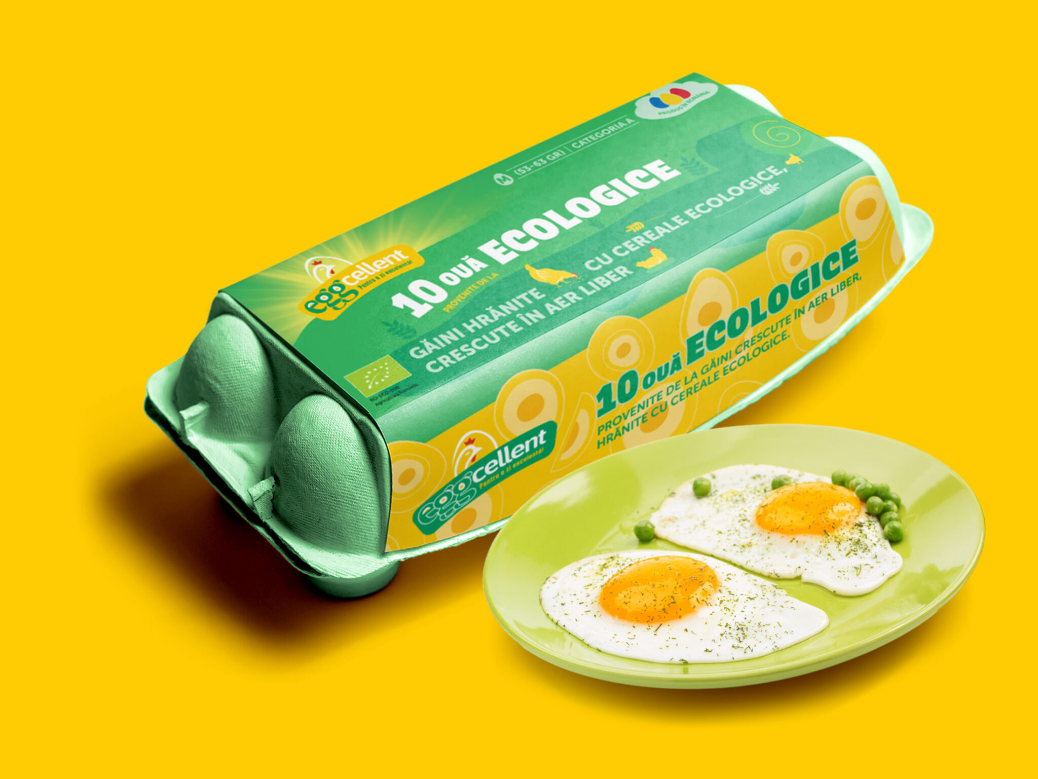 Eggcellent Organic Eggs