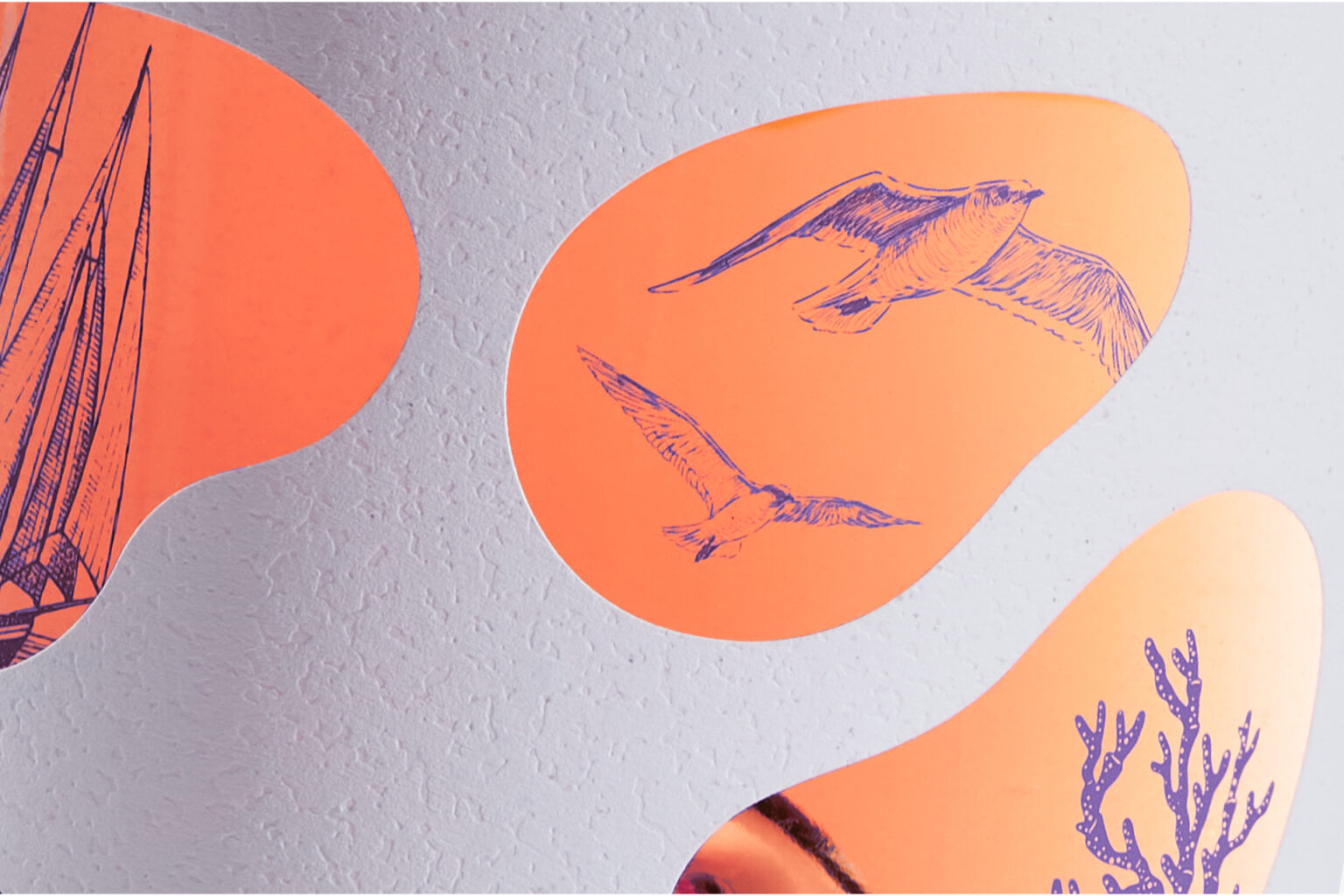 Vela Pazza / Crazy sailing