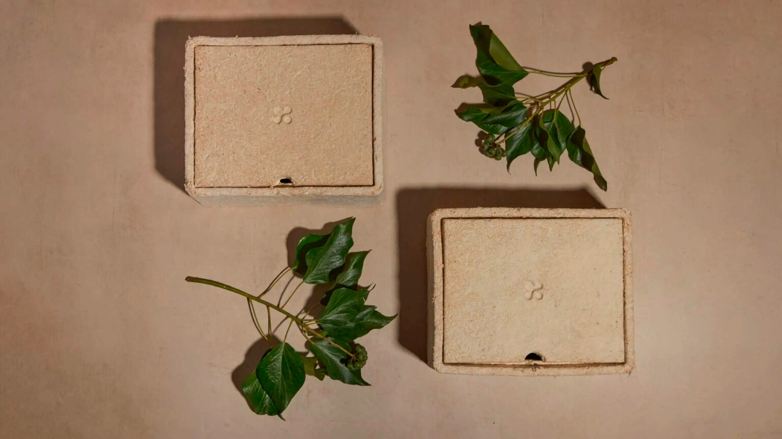 Rigid Mycelium Box for Mirror Water