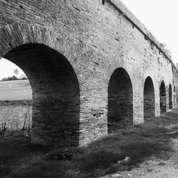 Olive Oil – Podere degli archi di Sisto V