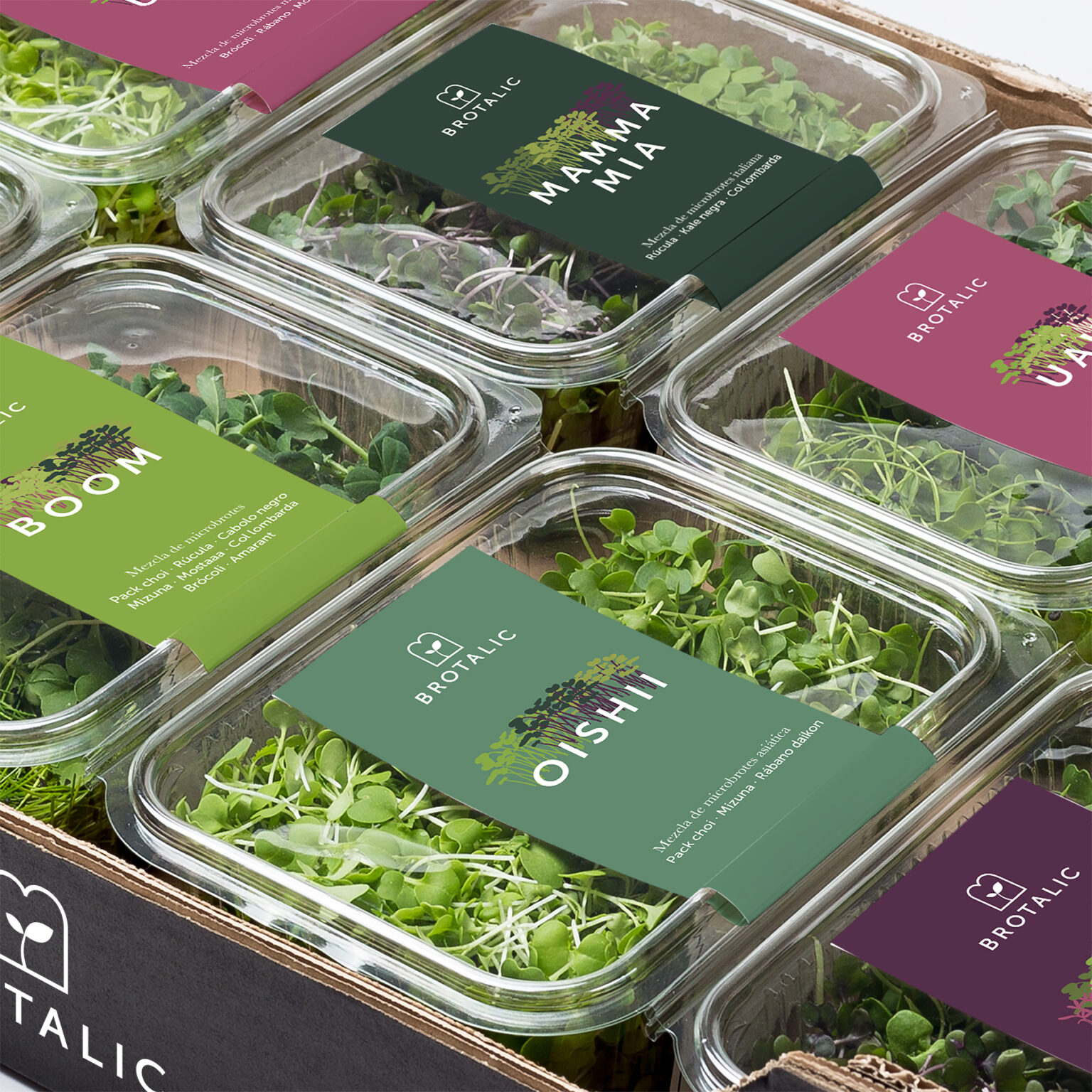 Create sprouting dishes