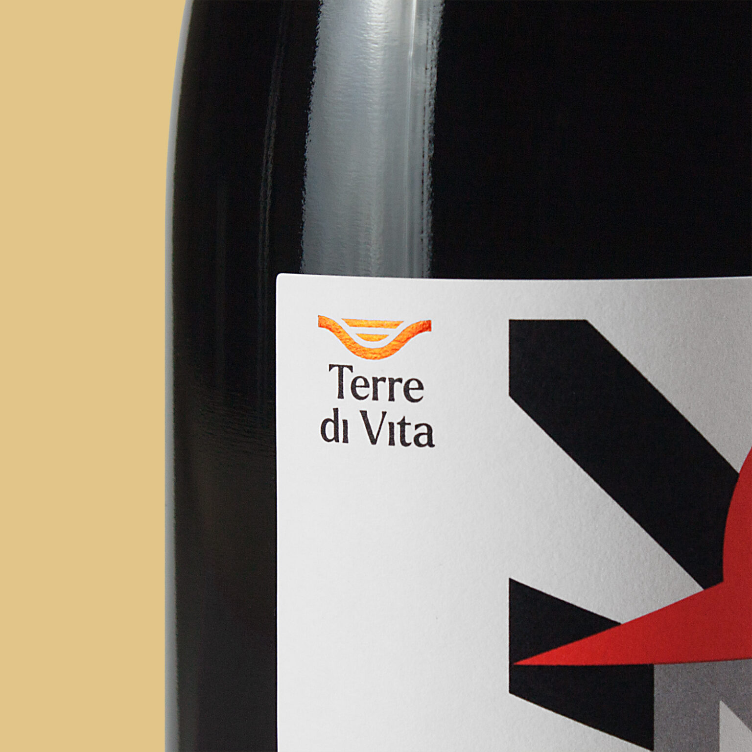 Terre di Vita / Tell me about your family