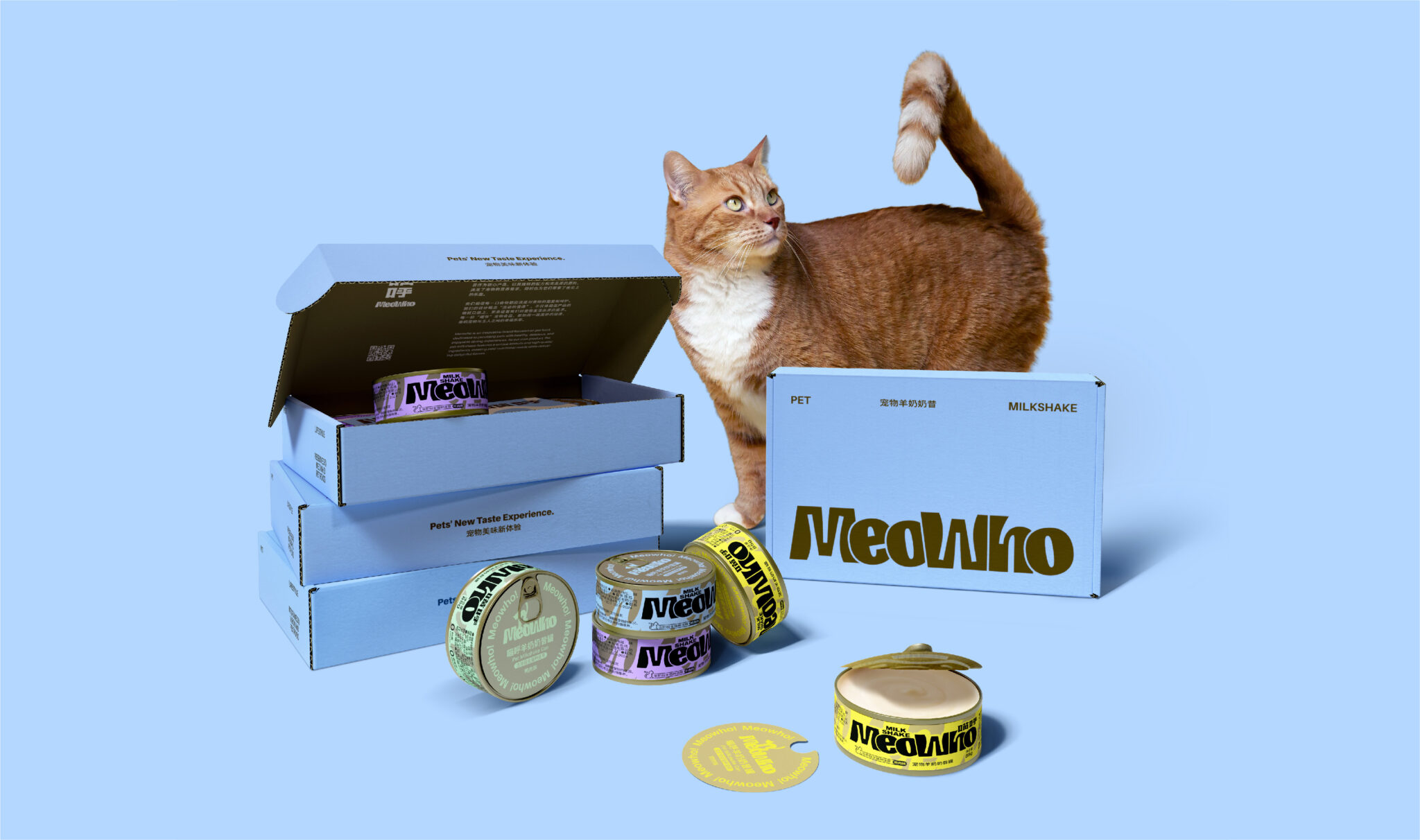 Meowho Branding and packaging design
