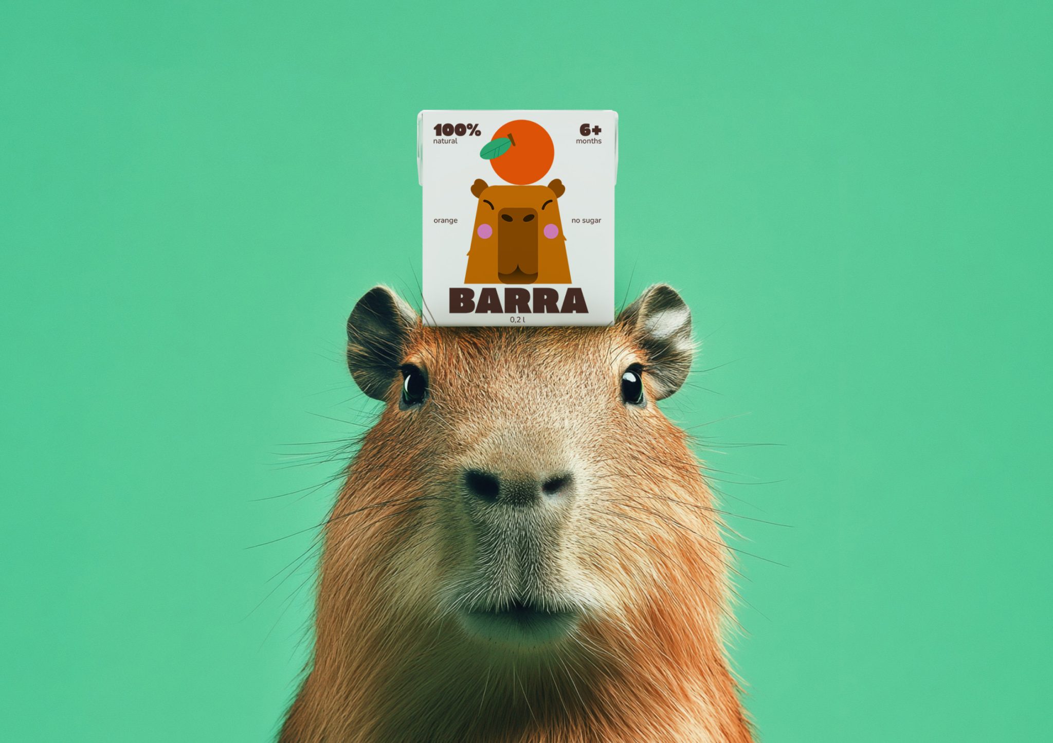 Barra Baby juice: playing with flavors