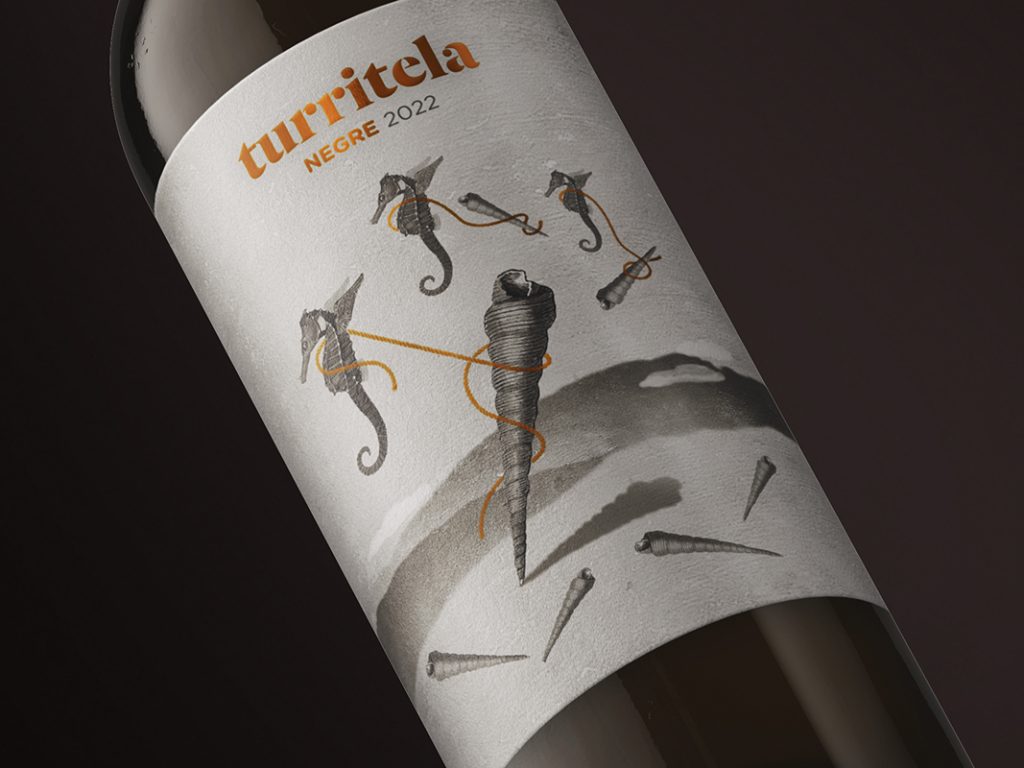 Turritela