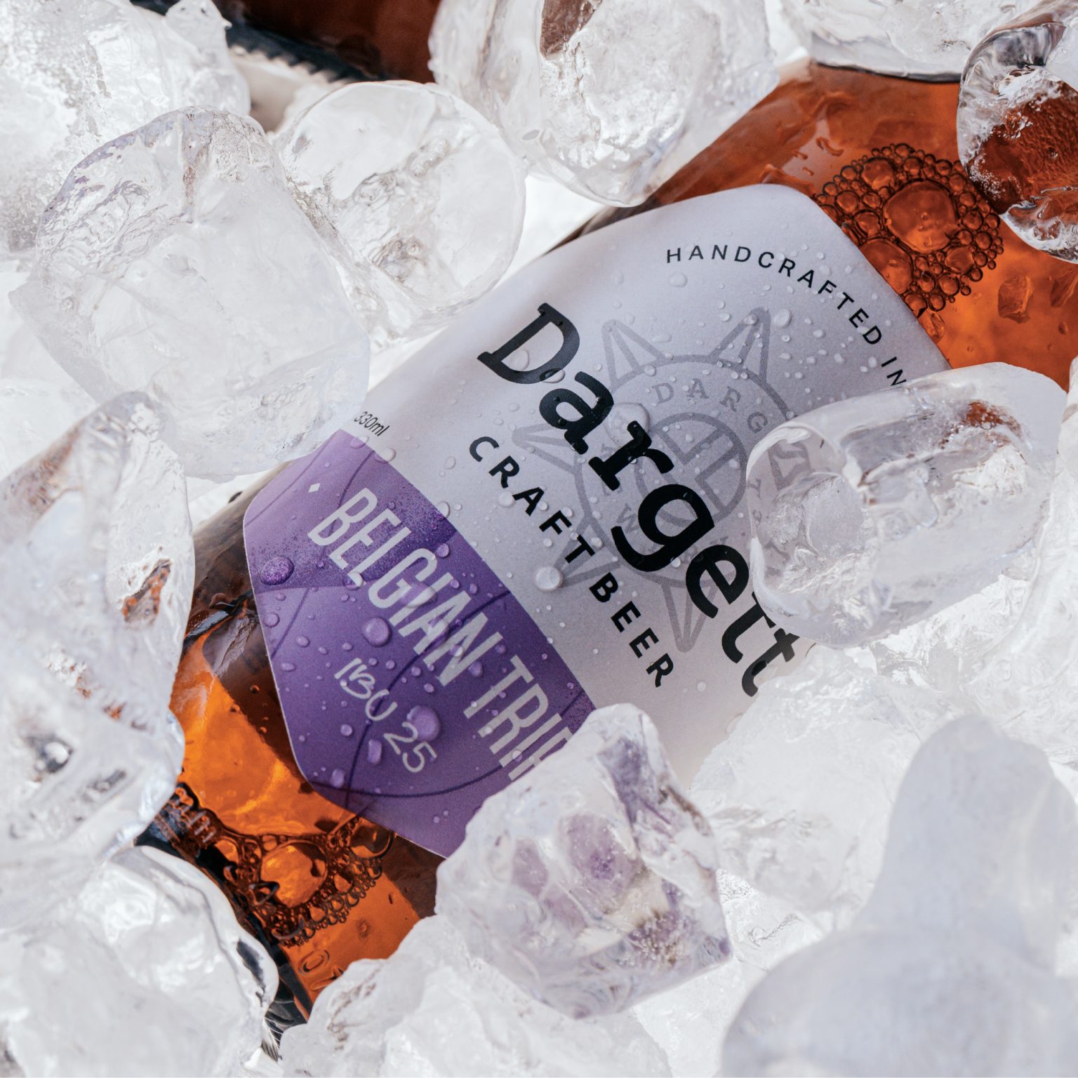 Dargett Beer