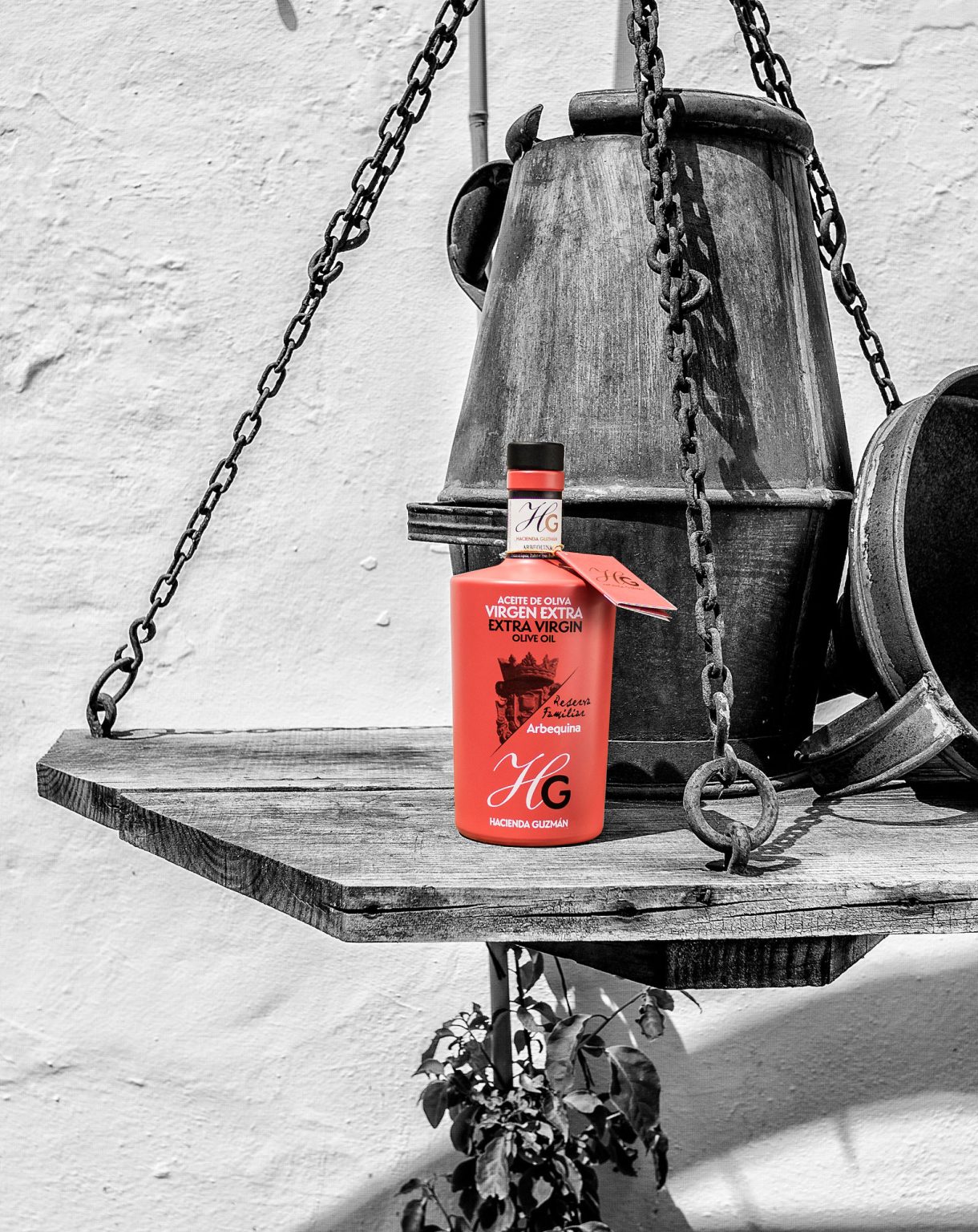 Hacienda Guzmán: A Legacy of Liquid GoldFive Centuries of Olive