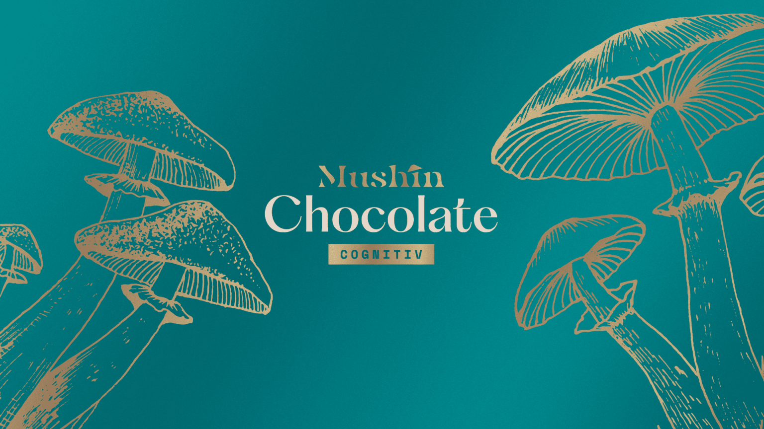 Mushin Chocolate