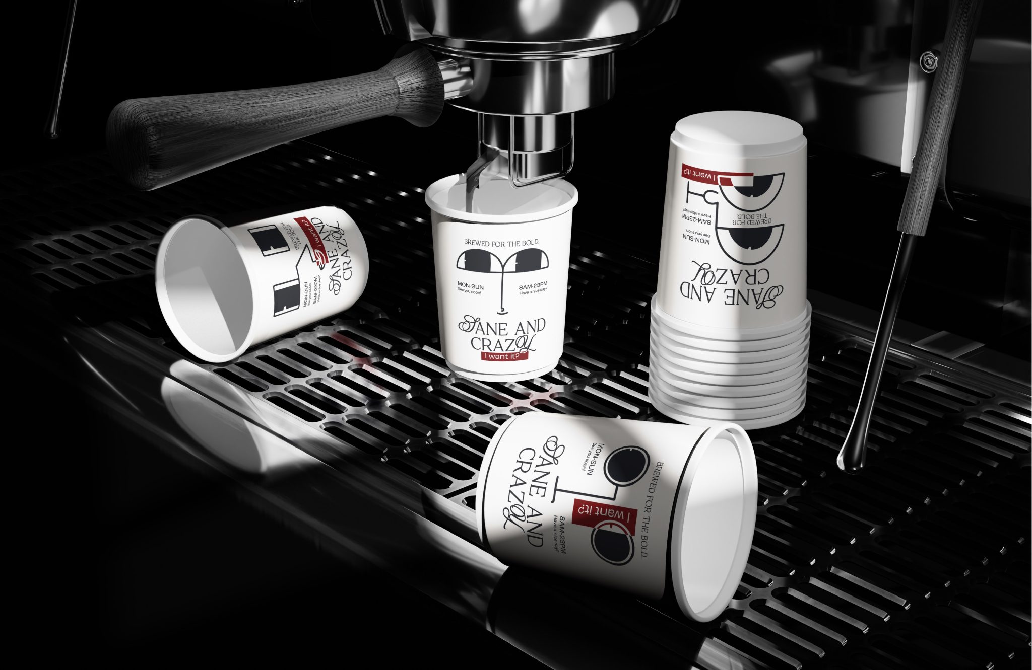 Sane and Crazy | Branding