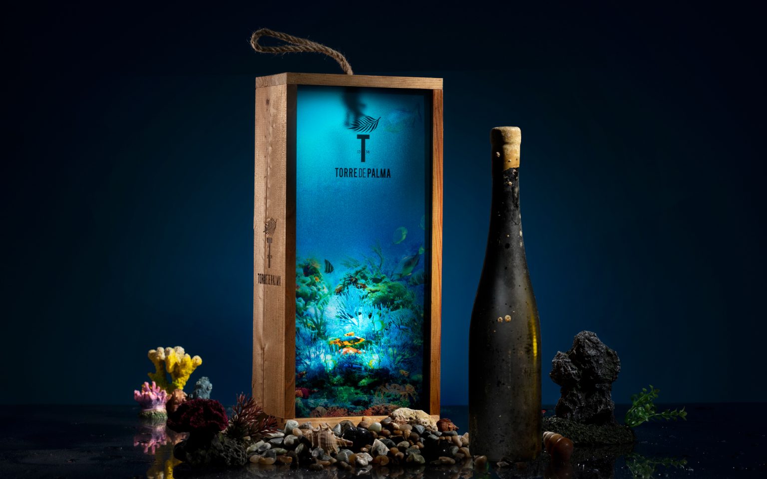 Underwater by Torre de Palma