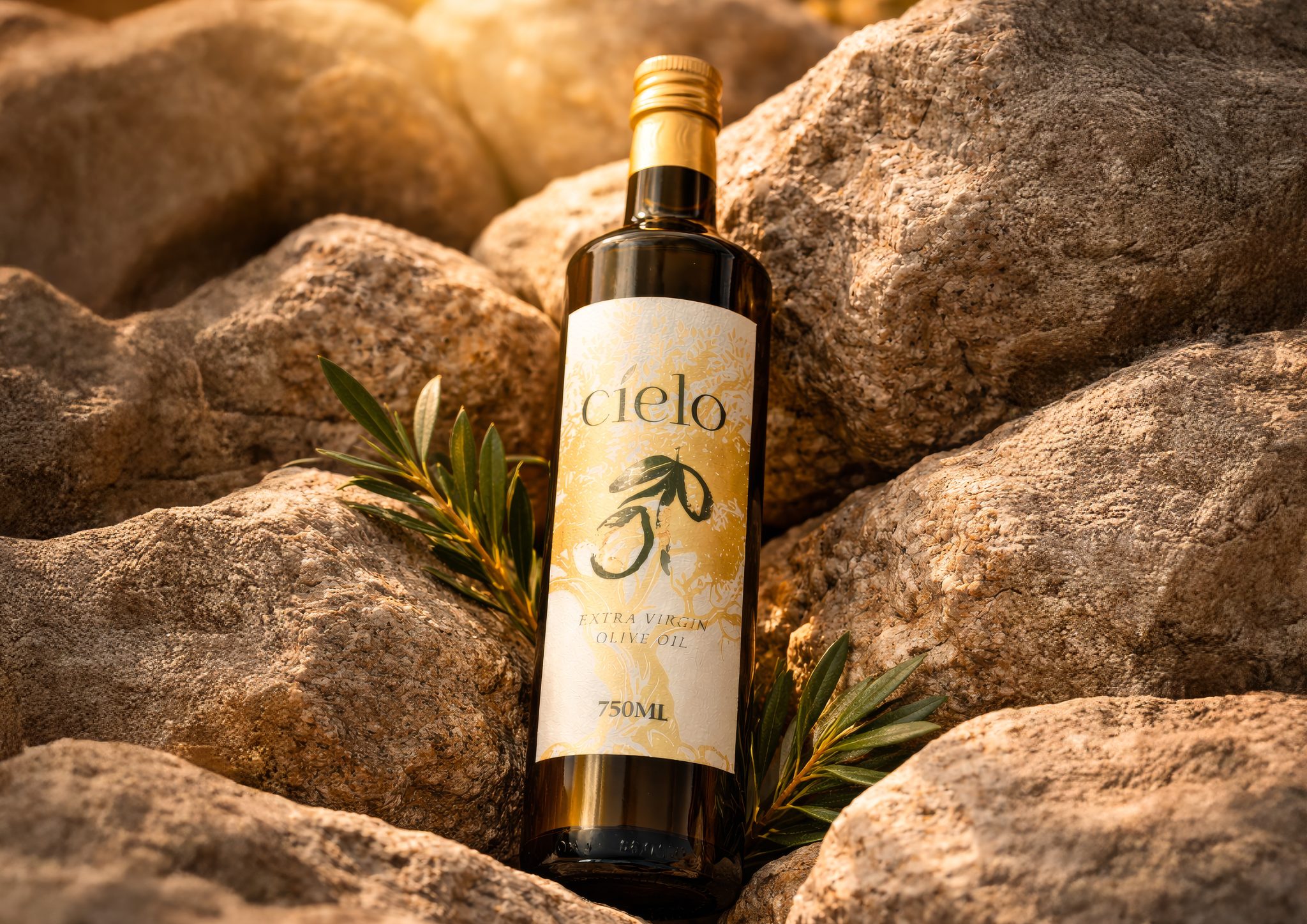 Cielo Olive Oil Rebranding