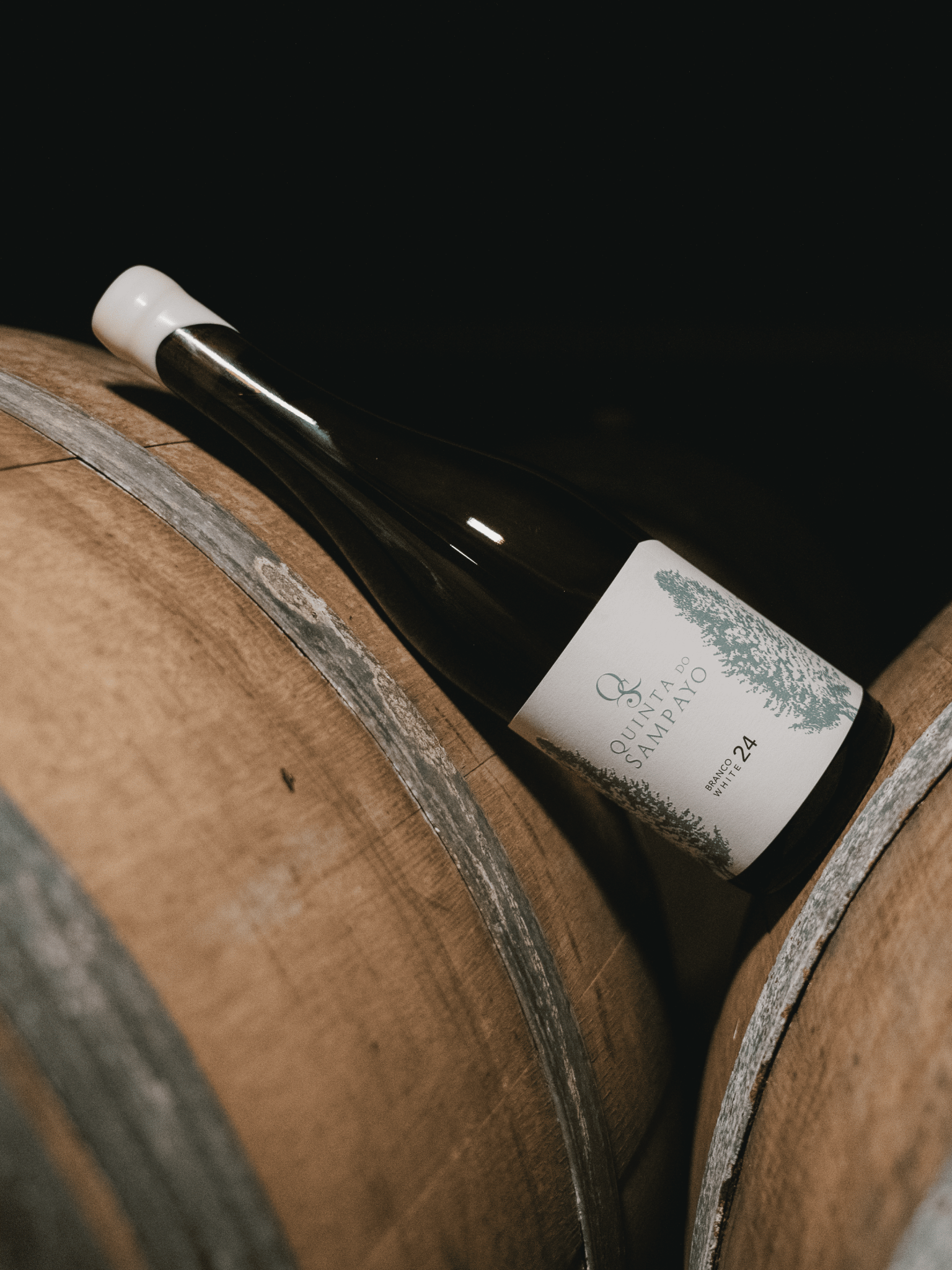 Quinta do Sampayo – Branco 24