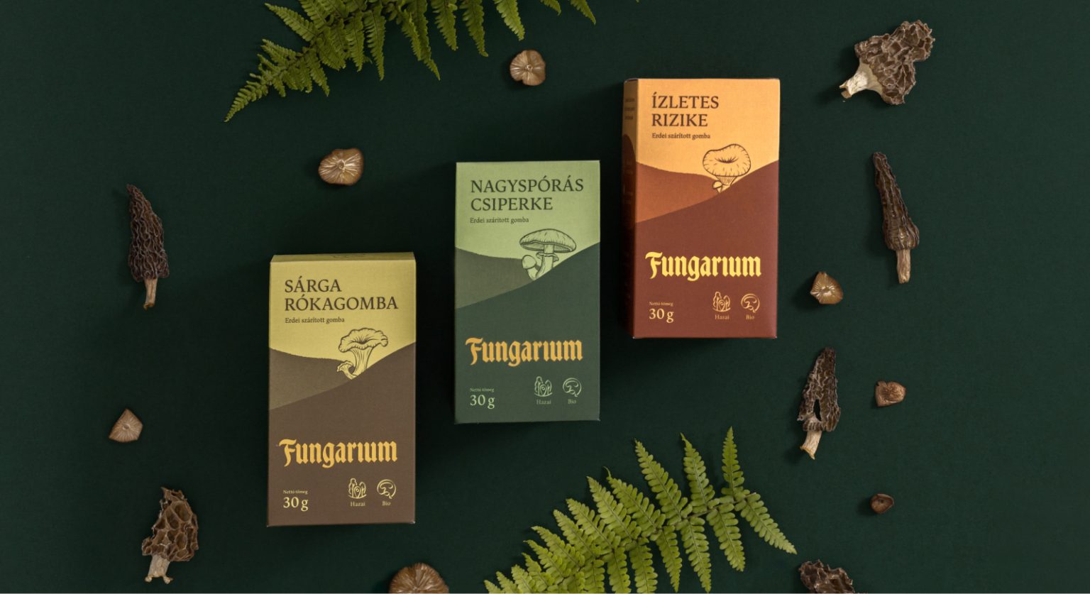 Fungarium dried mushrooms