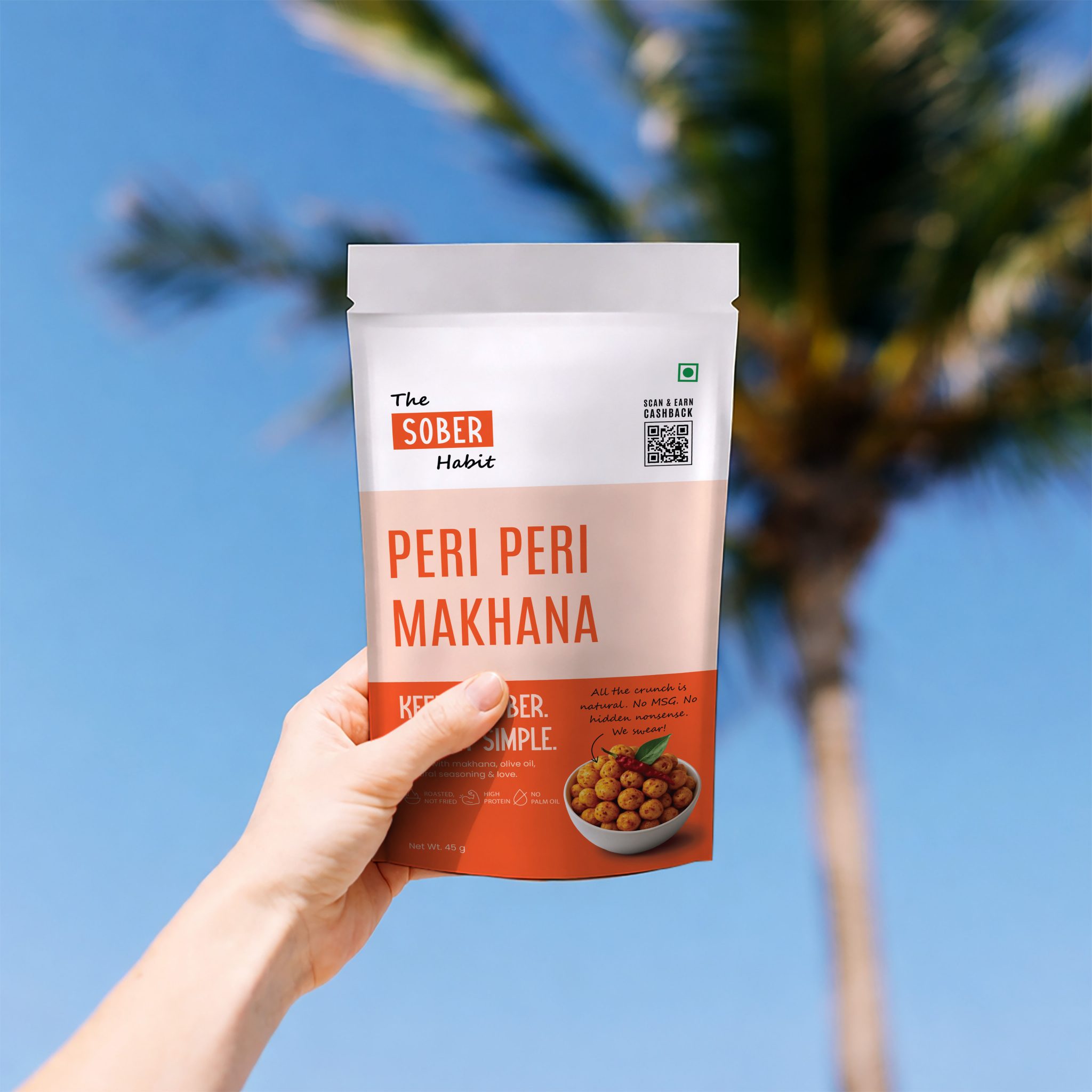 The Sober Habit | Branding