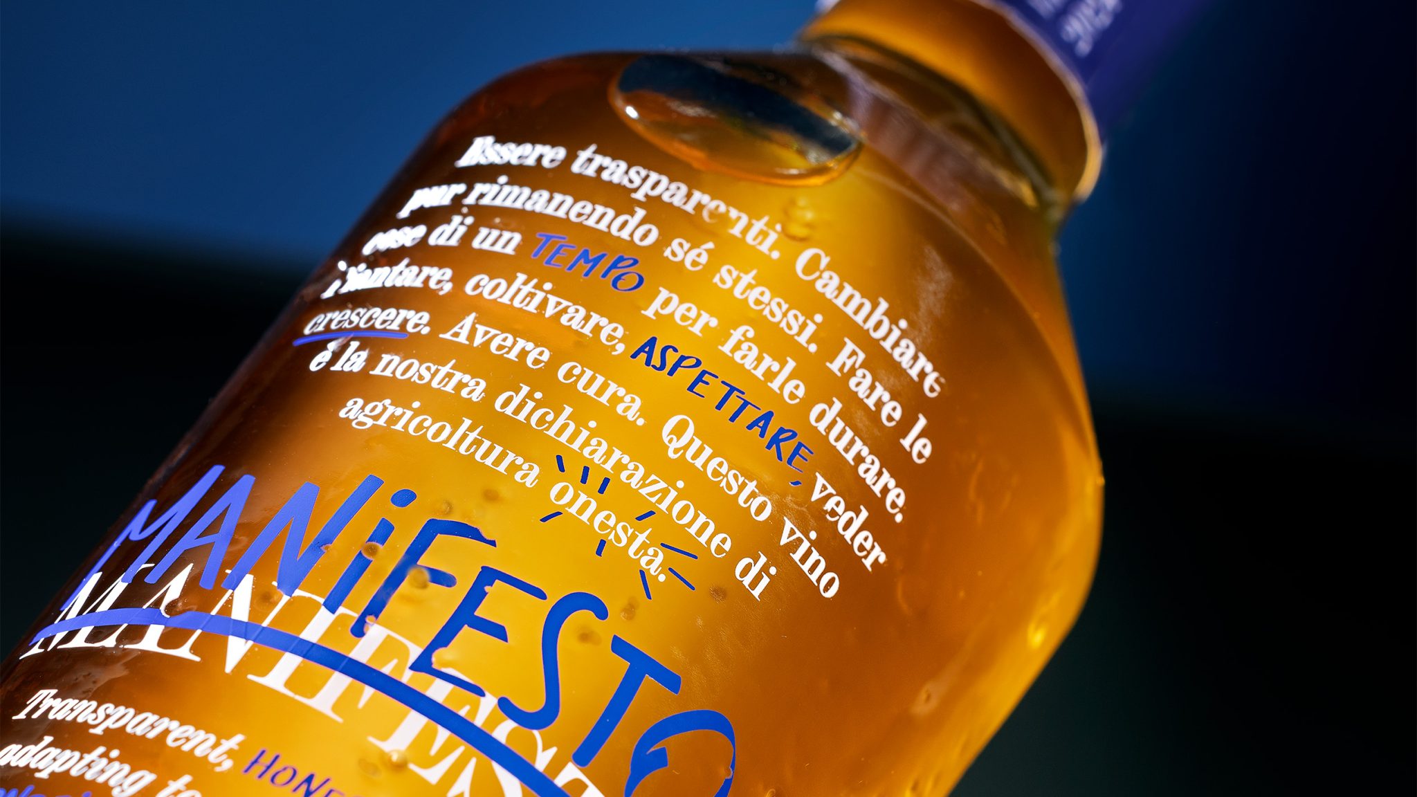 Manifesto (Tenuta Cocci Grifoni)