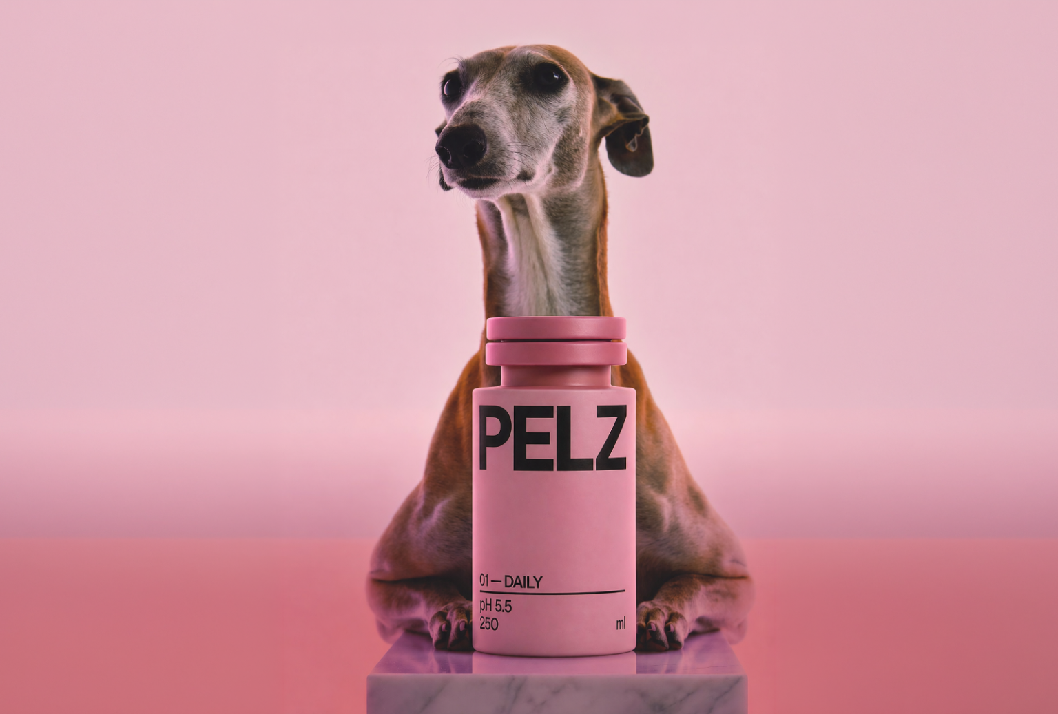 PELZ | Pet Care Brand | Packaging AI Branding