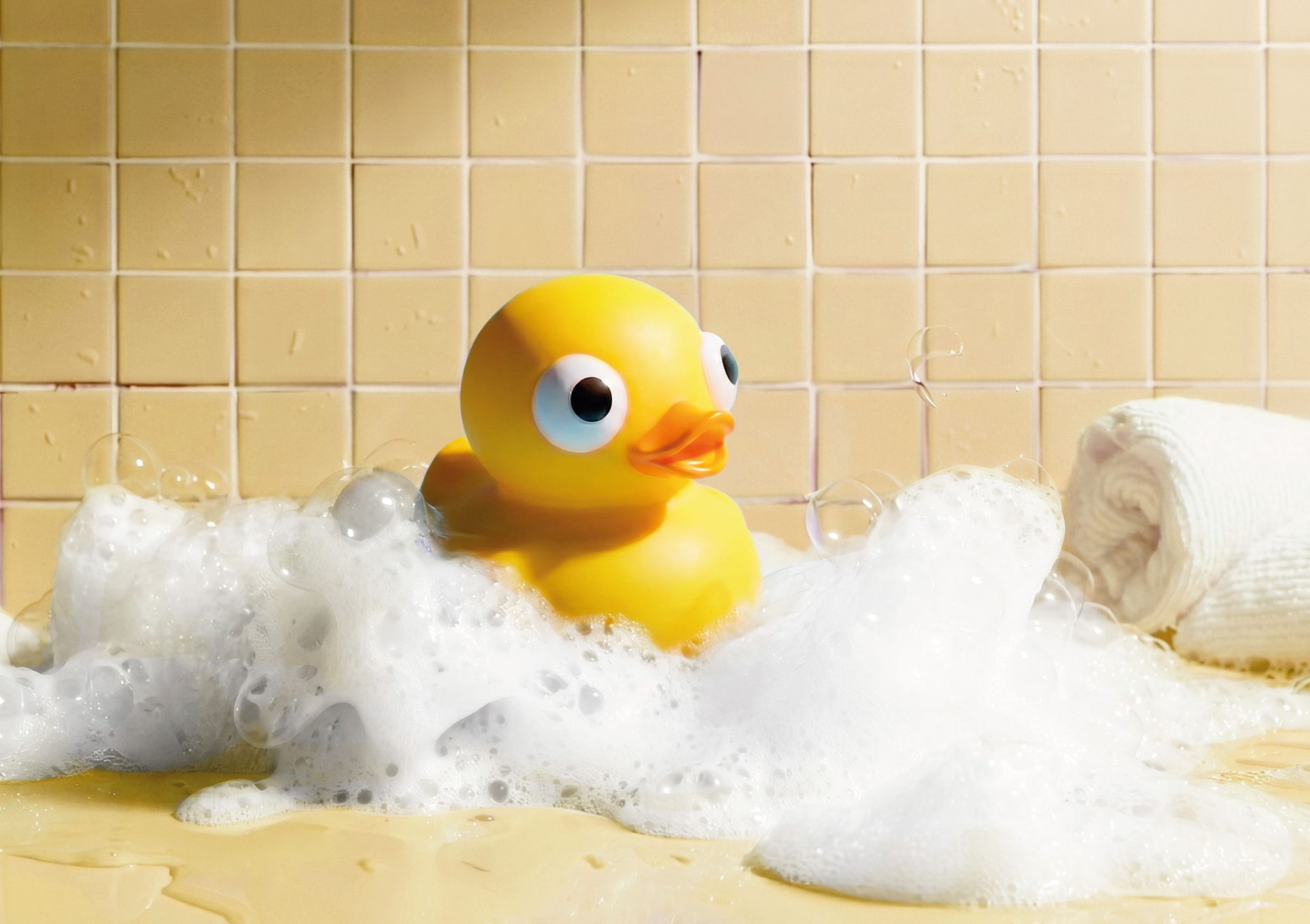 Duck stories