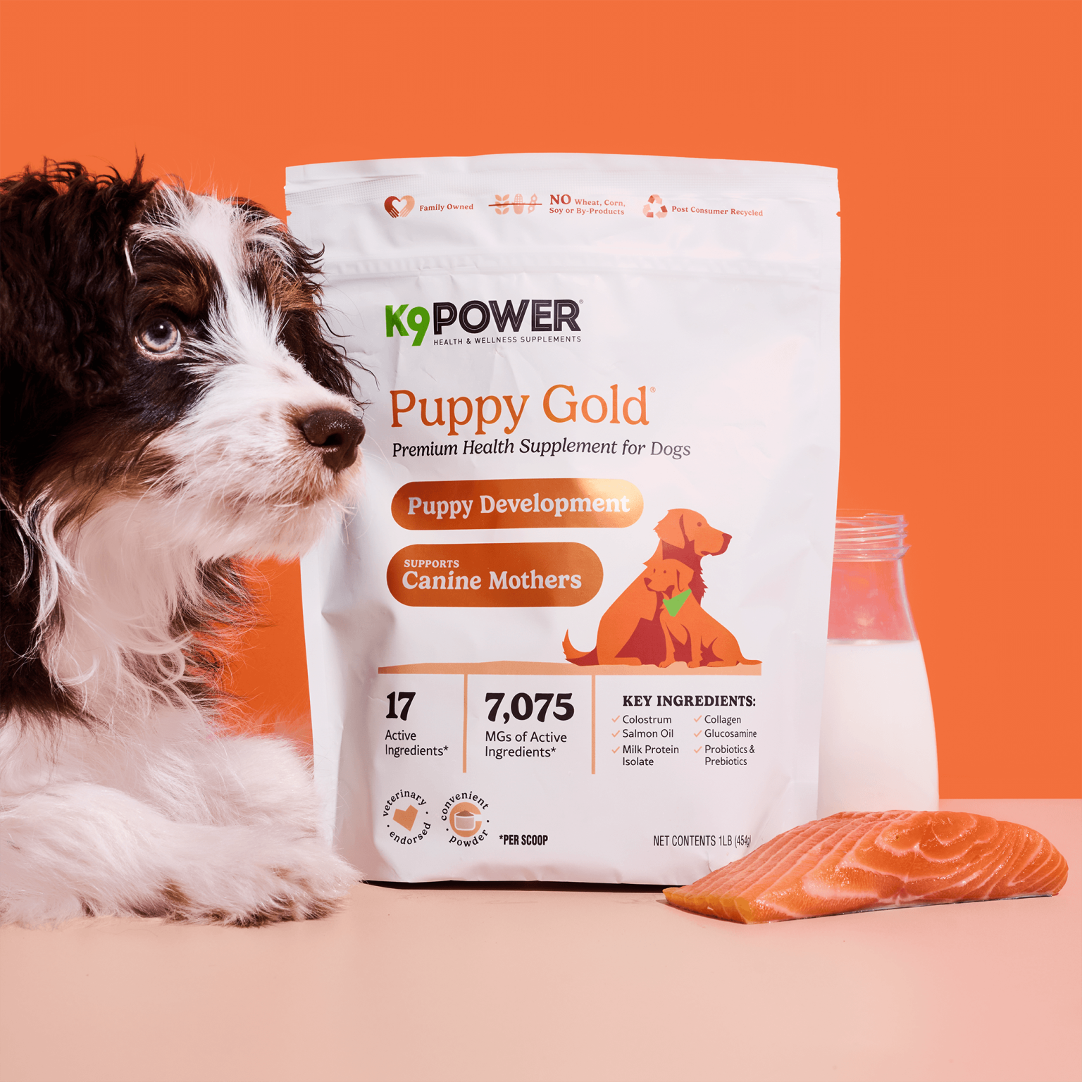K9Power Premium Health Supplements for Dogs