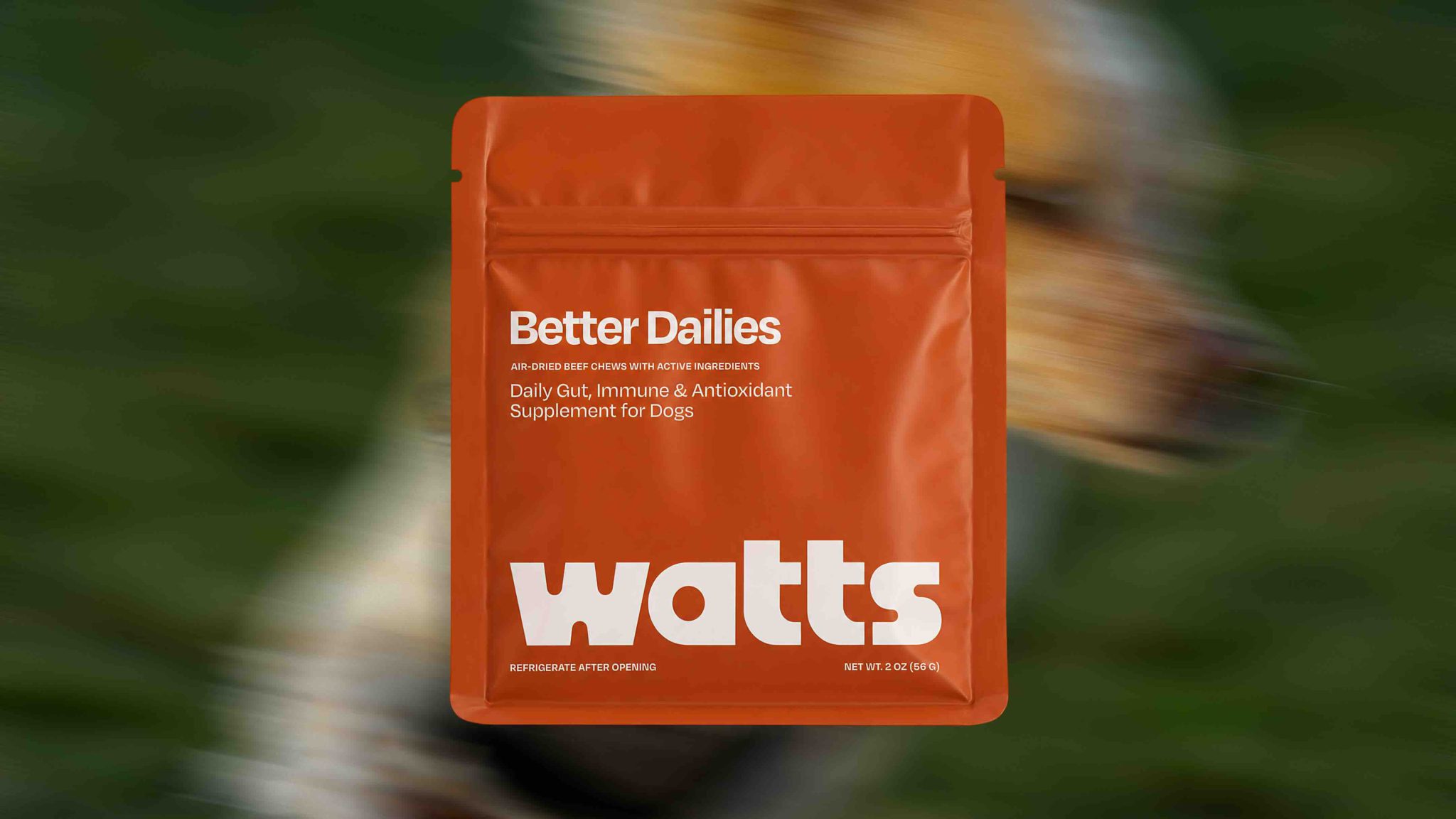 Watts partners with View Source on premium pet wellness launch