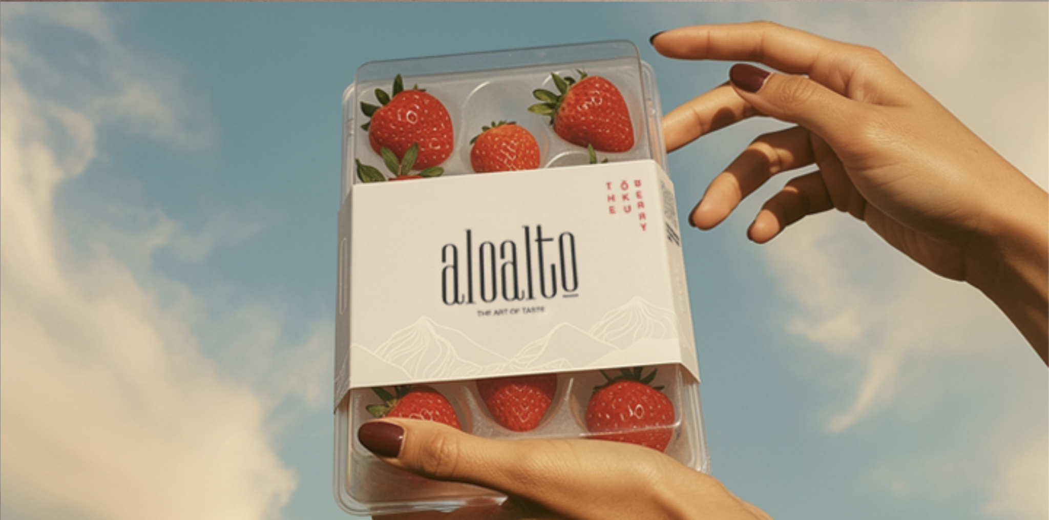 Aloalto – Packaging Design for Premium Japanese Strawberries