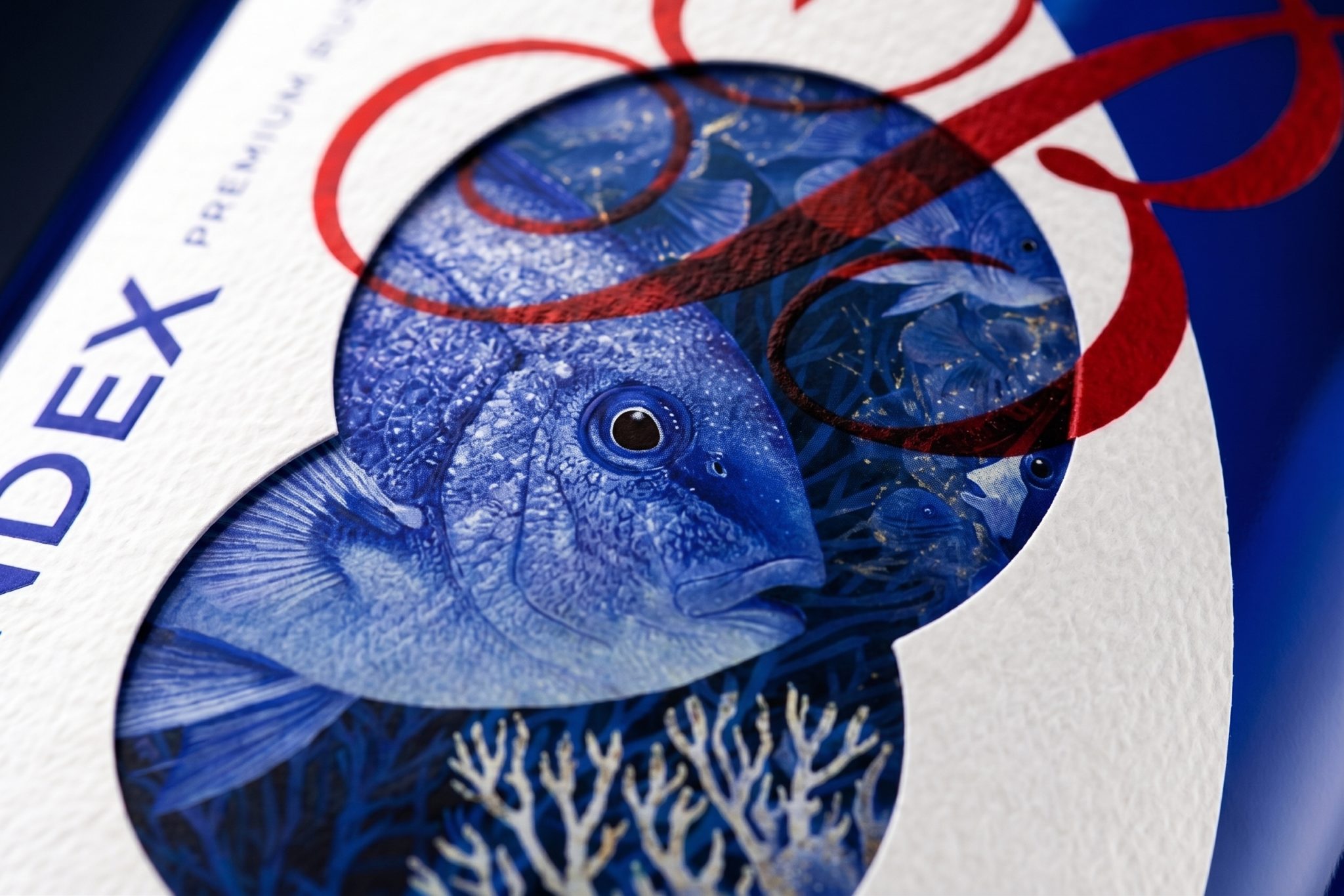 Follow the Fish , Turn the Bottle | Brandex