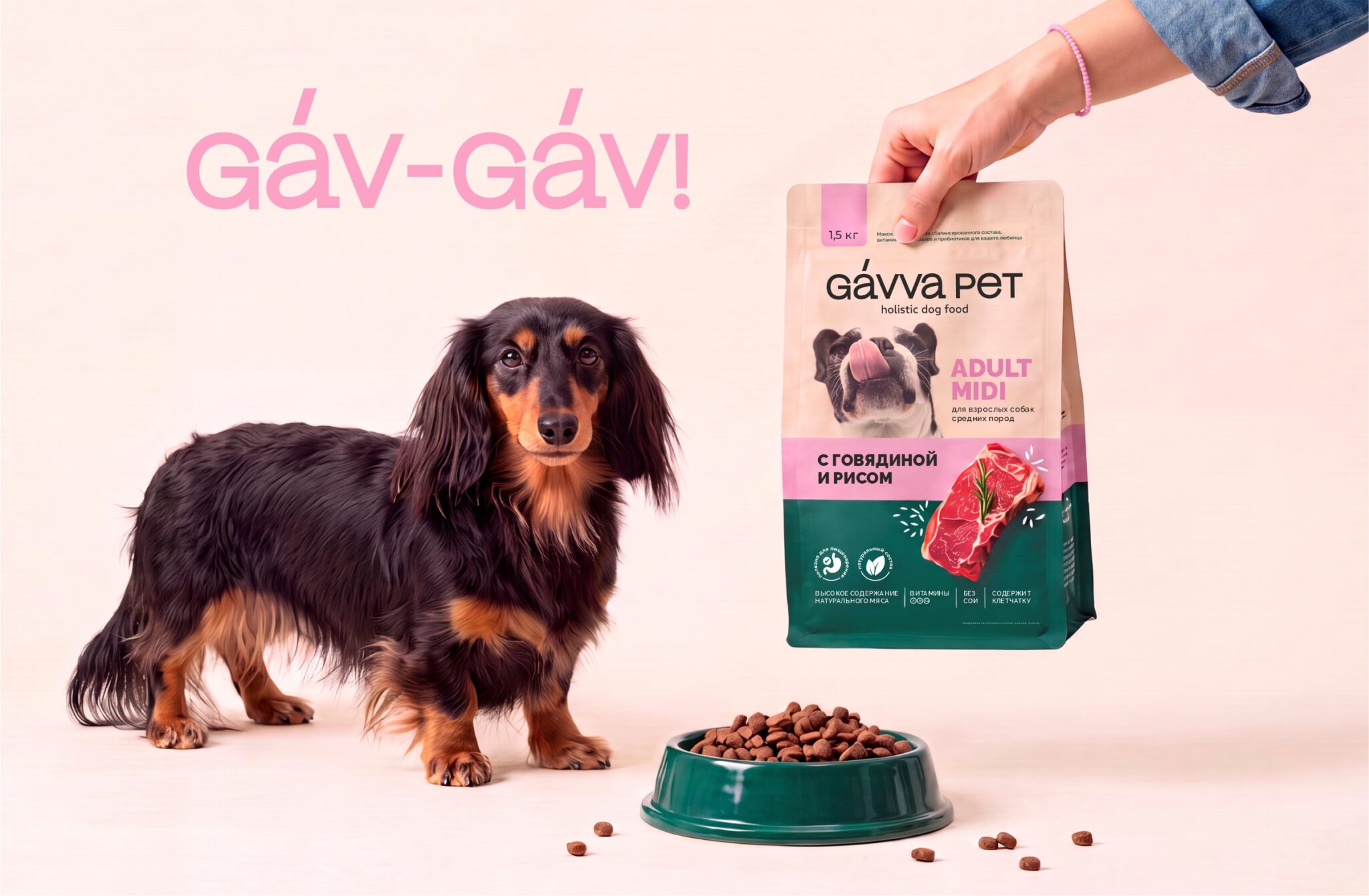 GAVVA Pets — Holistic Dog Food Branding & Packaging