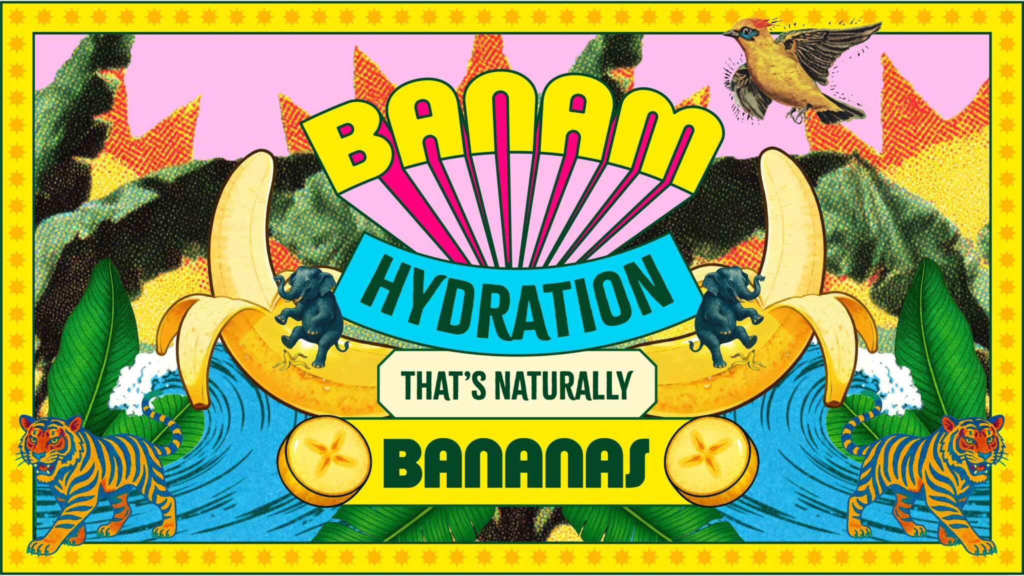 Banam – 100% Banana Water