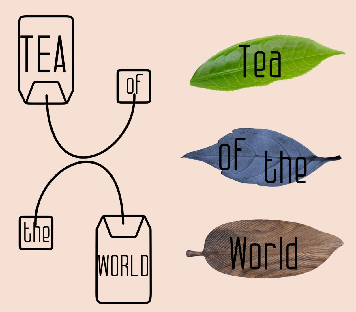 Tea of the world – Packaging Of The World